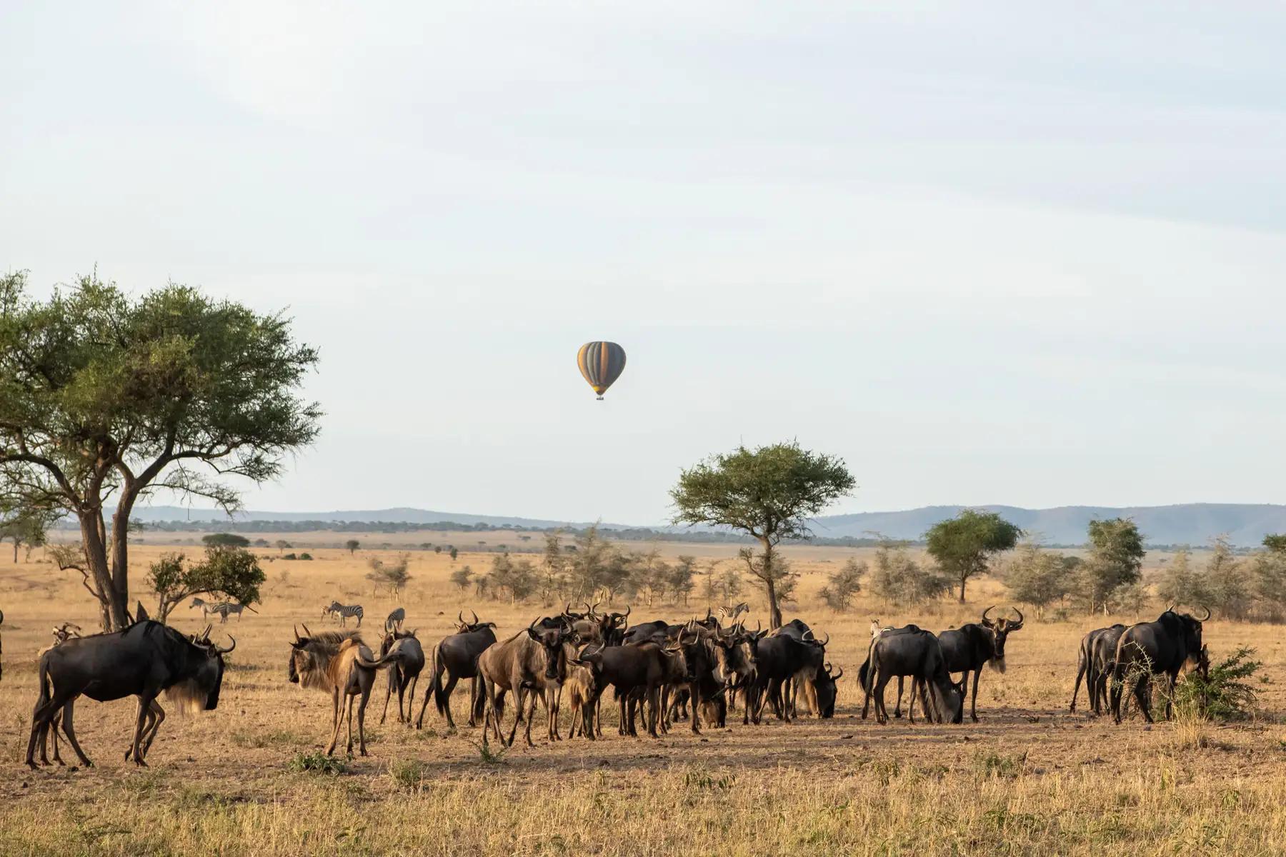 Singita Faru Faru Lodge