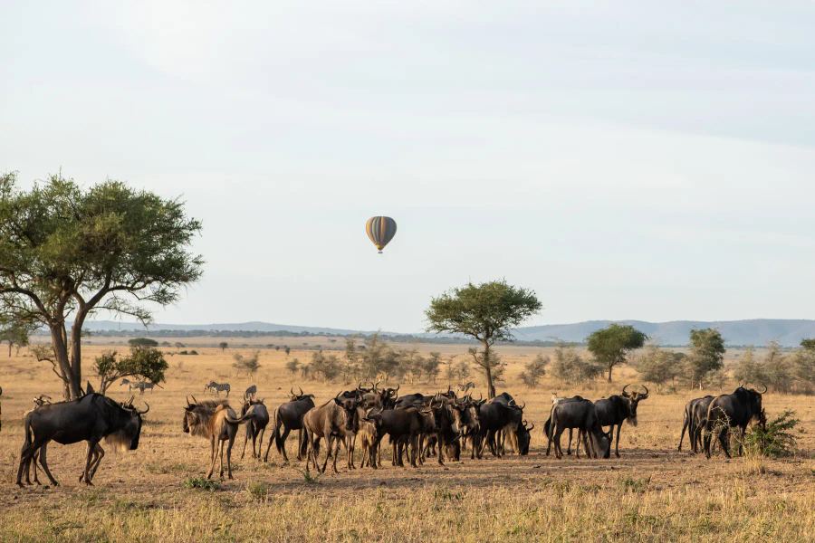 Singita Faru Faru Lodge