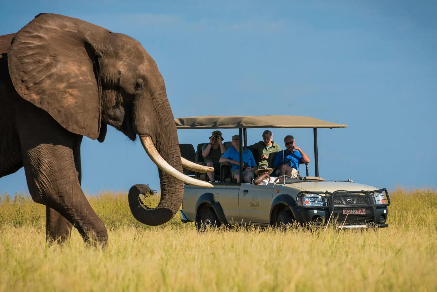 Changa Safari Camp