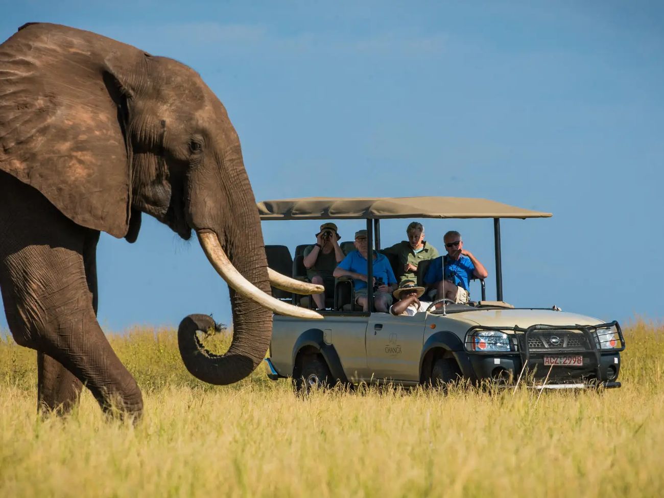 Changa Safari Camp