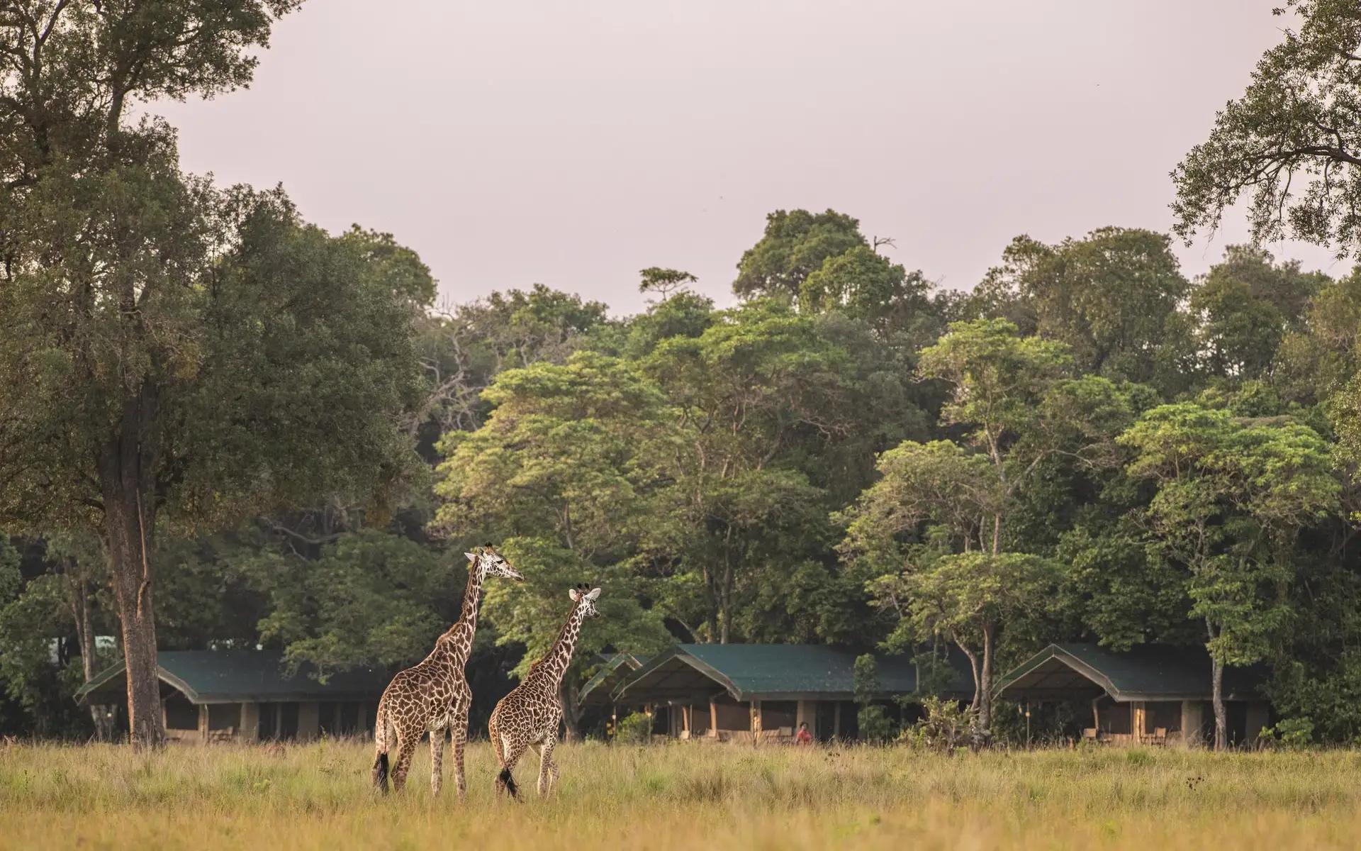 7-Day All-Inclusive Masai Mara to Zanzibar Safari