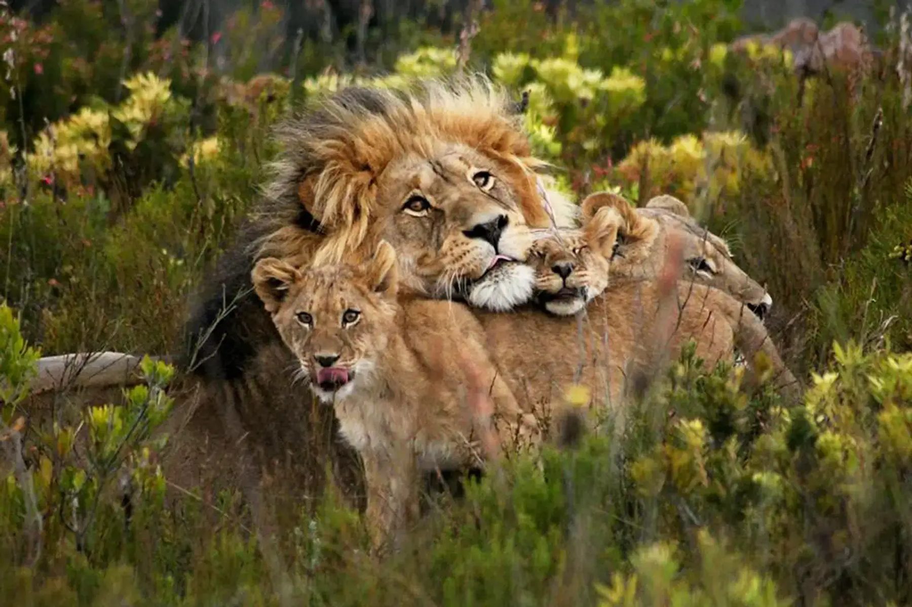 Gondwana Game Reserve