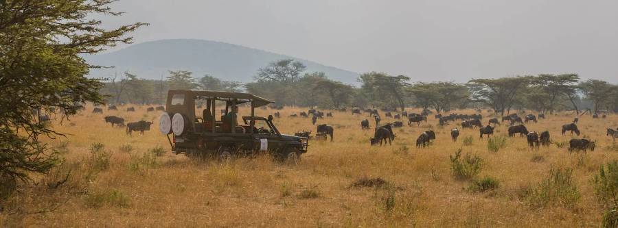 Nasikia Mobile Migration Camp