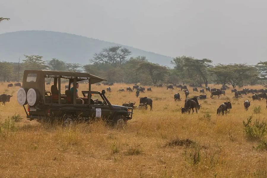 Nasikia Mobile Migration Camp