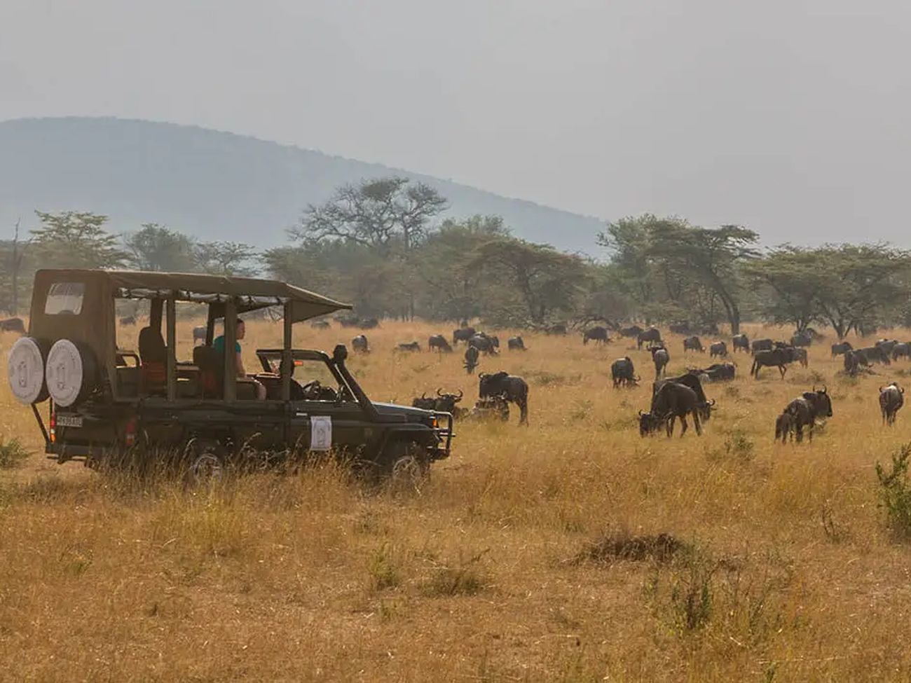 Nasikia Mobile Migration Camp