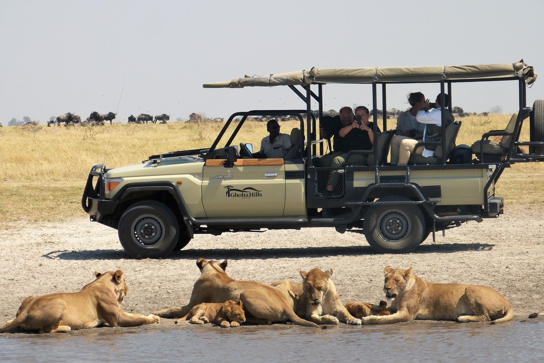Ghoha Hills Savuti Lodge