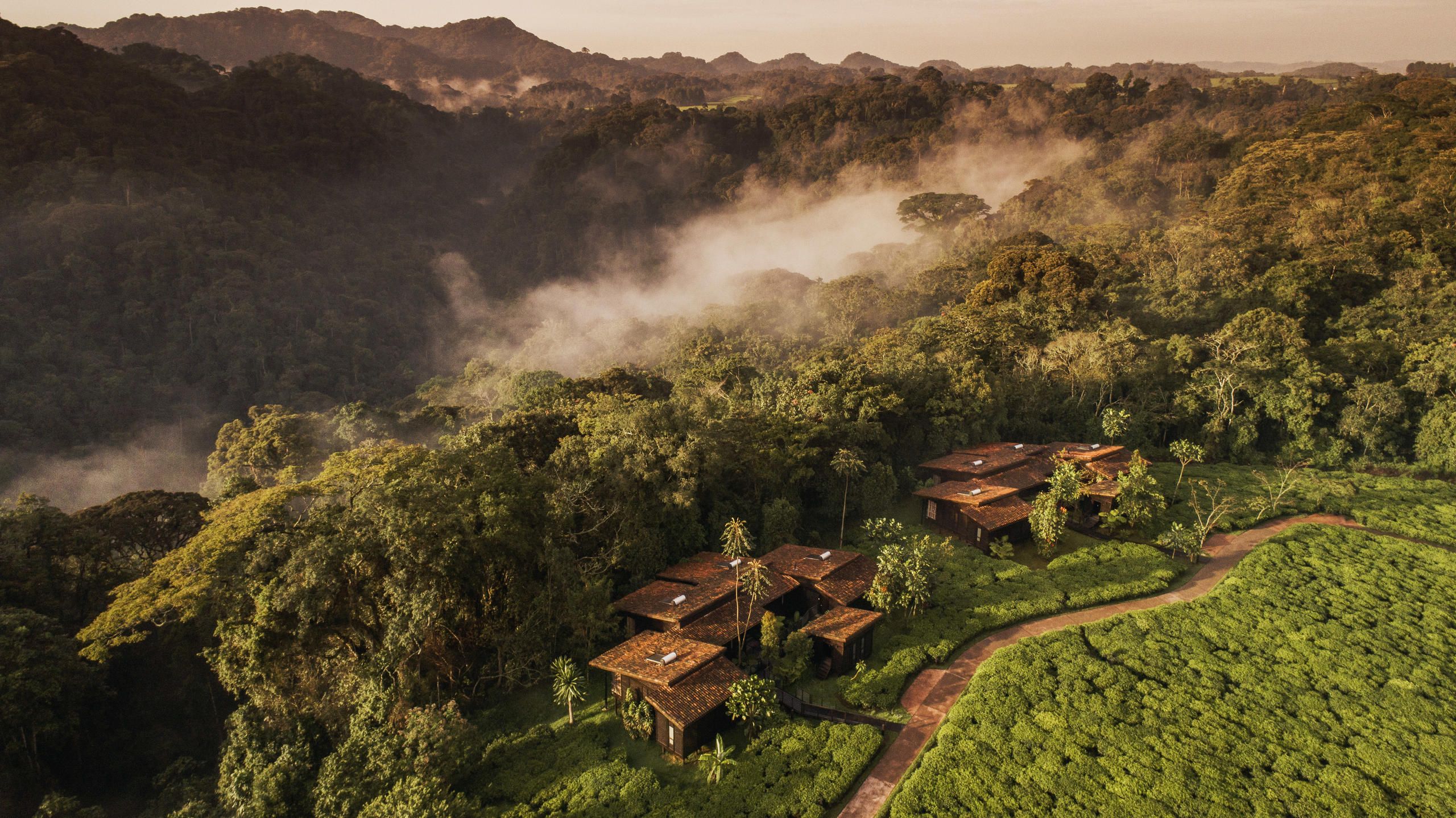  One & Only Nyungwe House