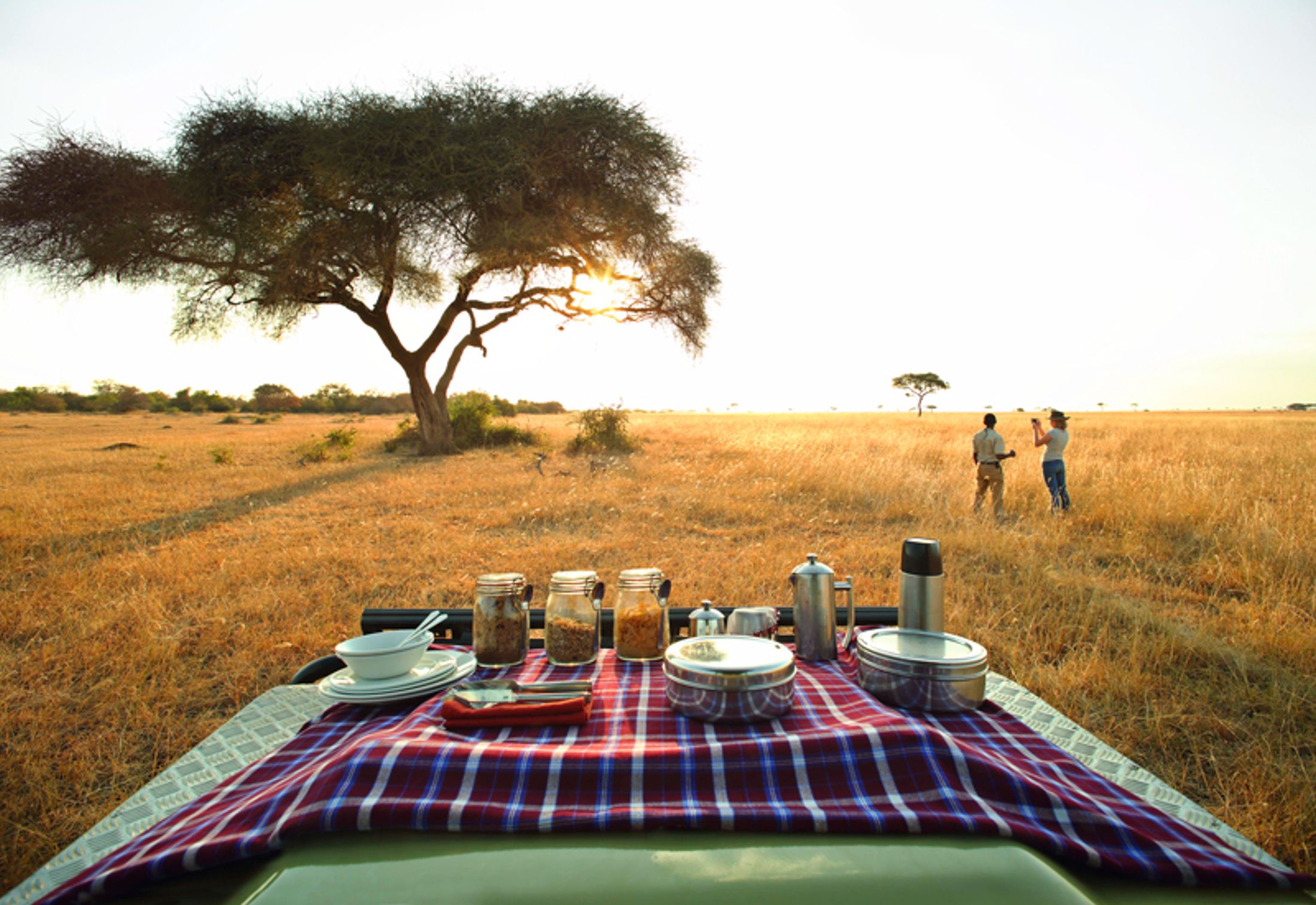 Luxury African Safari Tours: Our Top-Selling Favorites