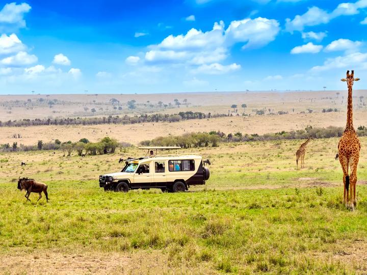 Safari Rari Safari.com | Luxury African Safaris
