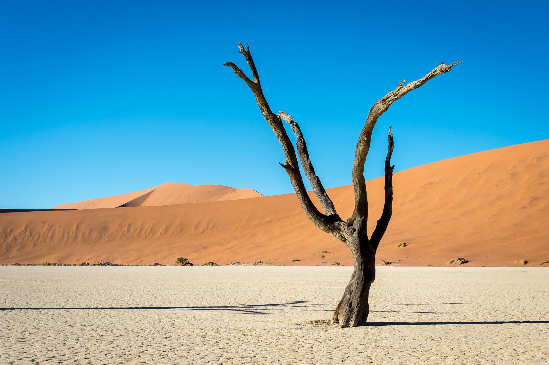 9 Day Diverse Namibia