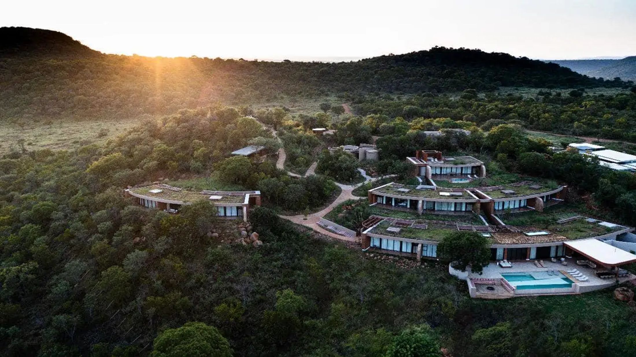The Future of African Safaris: Top Travel Trends for 2025–2026