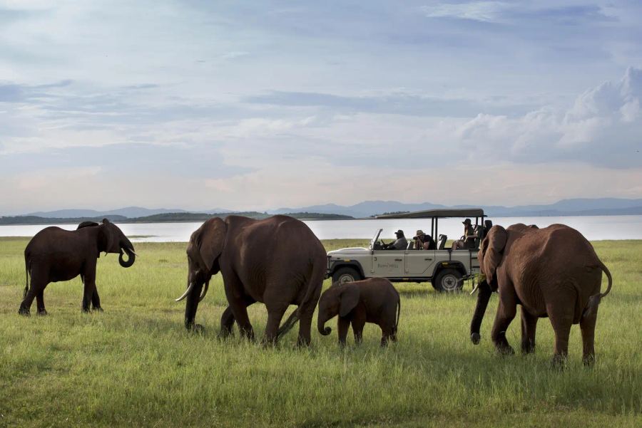 Bumi Hills Safari Lodge