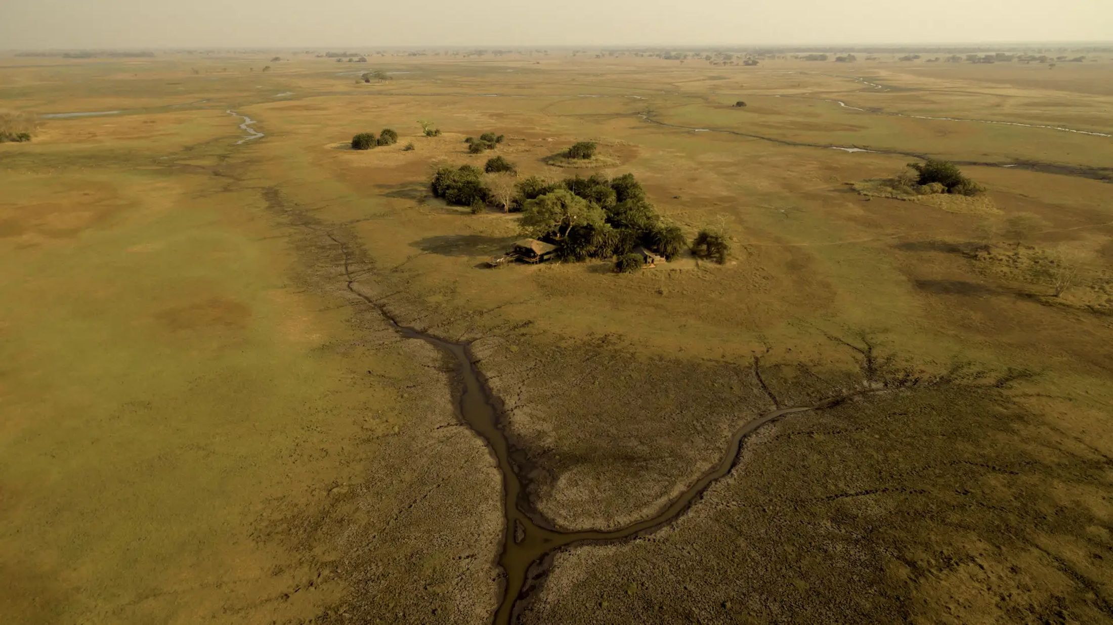 New Age of Protecting Wildlife