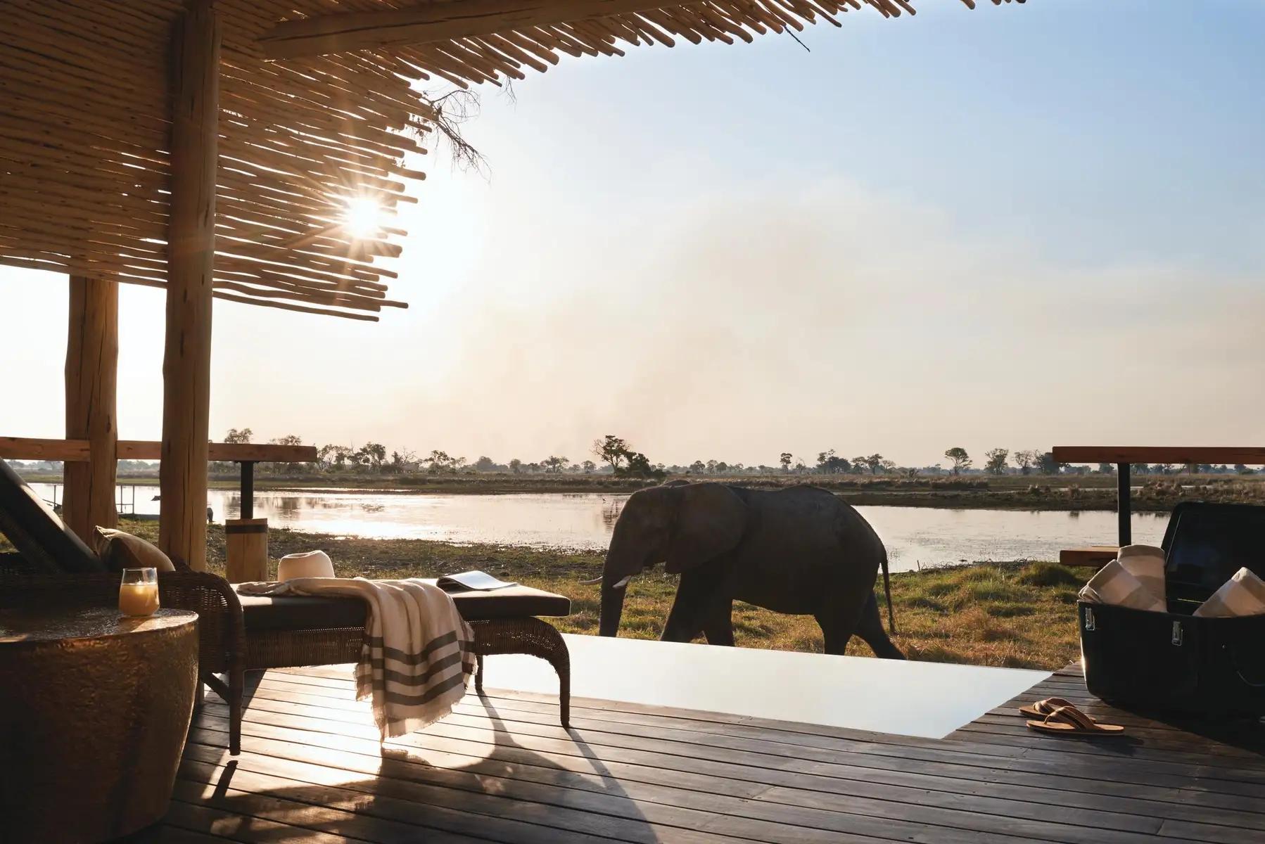 Belmond Eagle Island Lodge