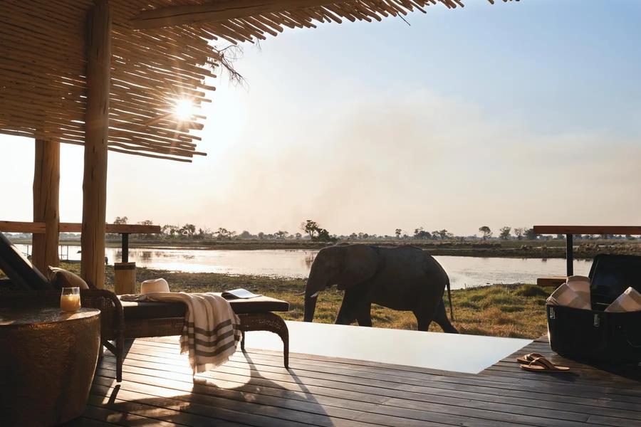 Belmond Eagle Island Lodge