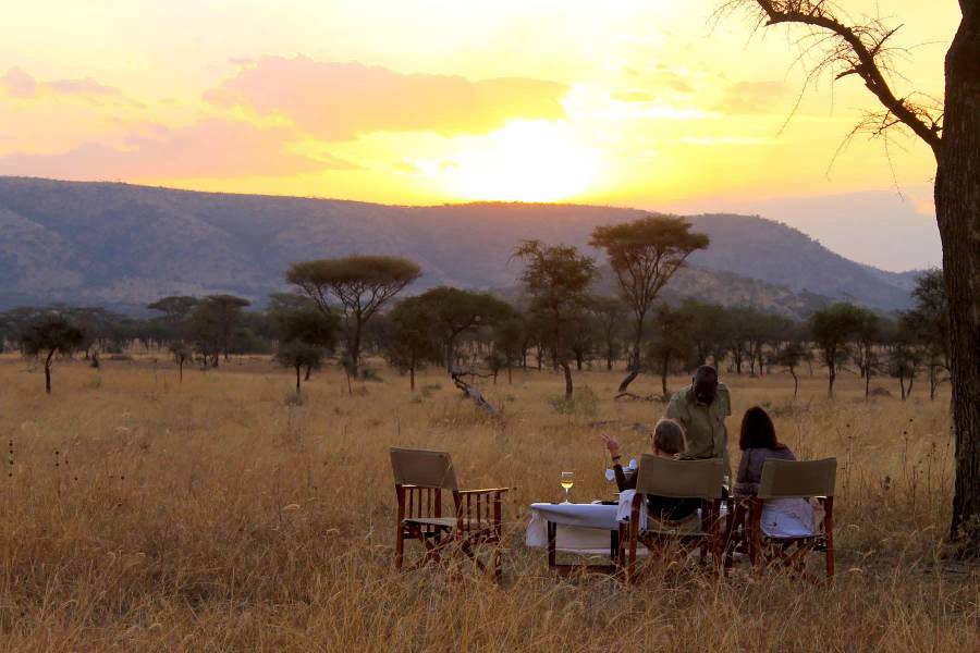10 Day Luxury Fly-in Kenya & Tanzania Tour