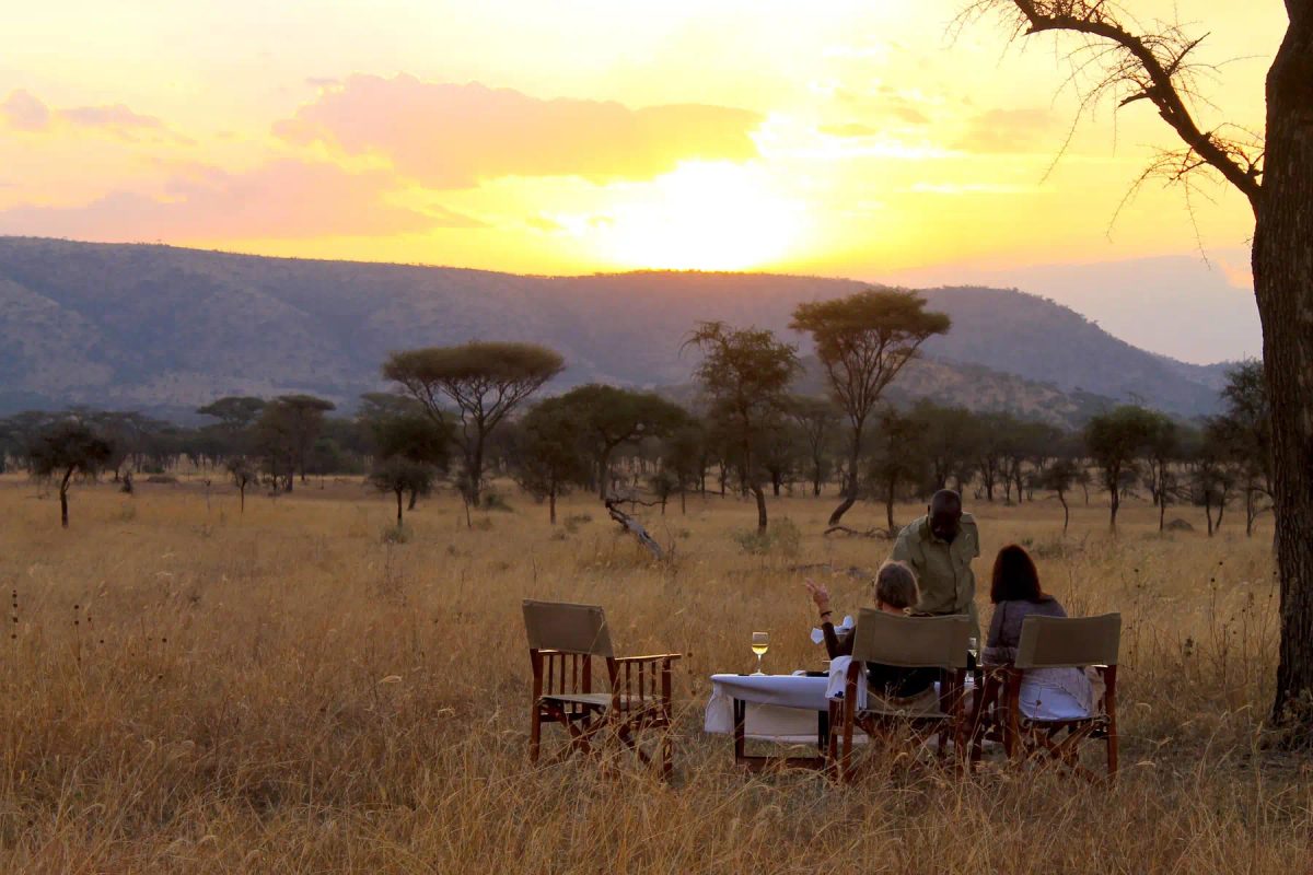 10 Day Luxury Fly-in Kenya & Tanzania Tour