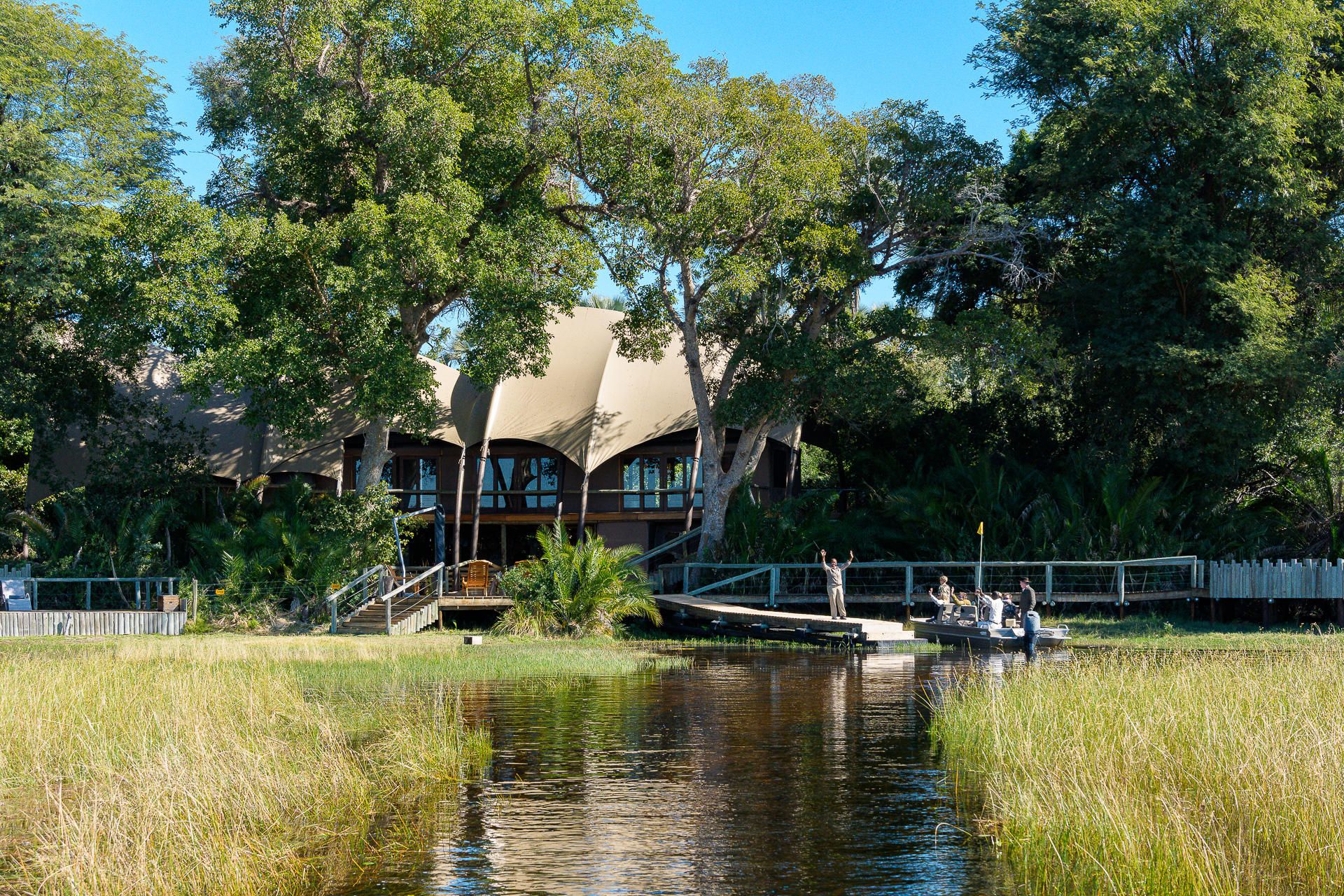 Jacana Camp