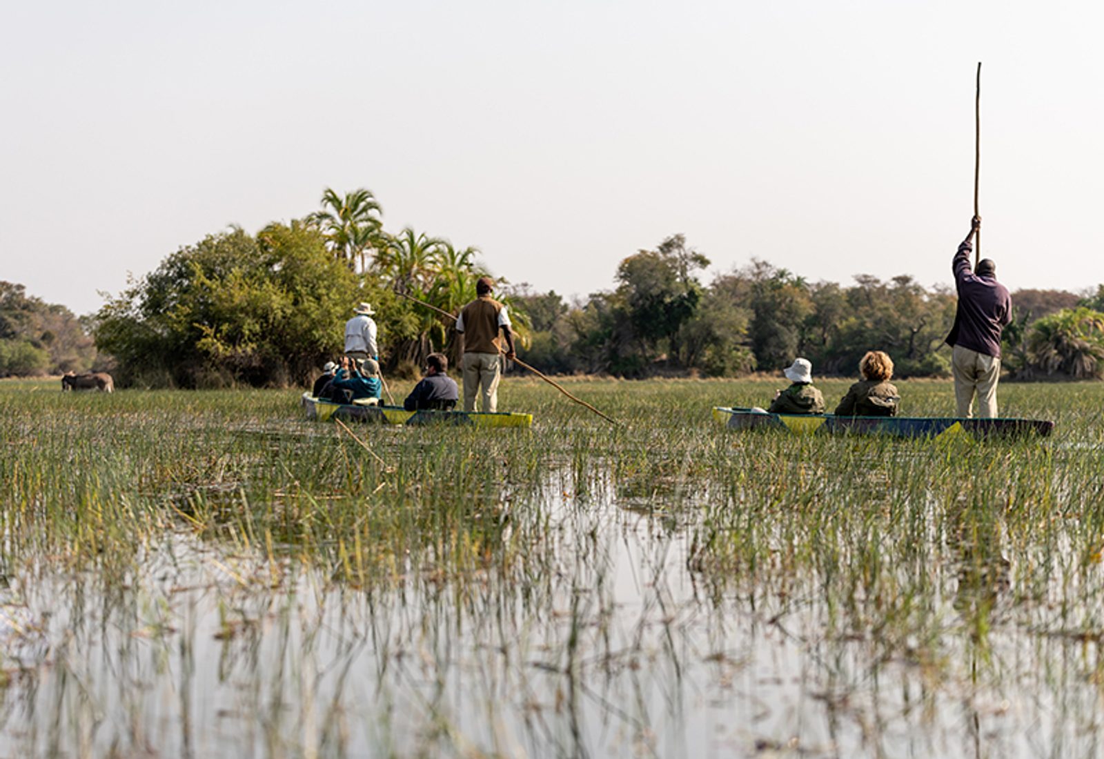 canoe on the okavango delta in Botswana