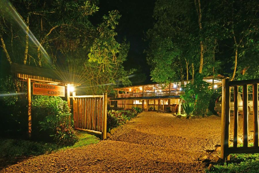 6-Day Uganda Primate Safari Adventure