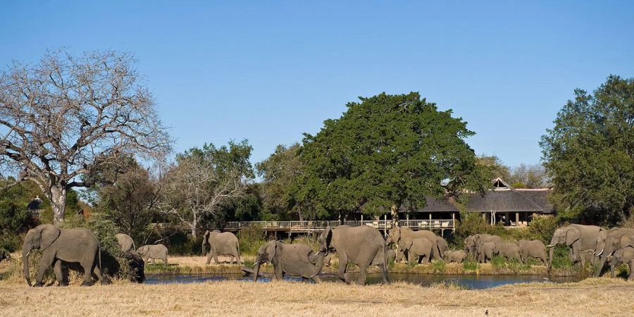 15-Day Classic Southern Africa Experience — Cape Town, Kruger, Victoria Falls