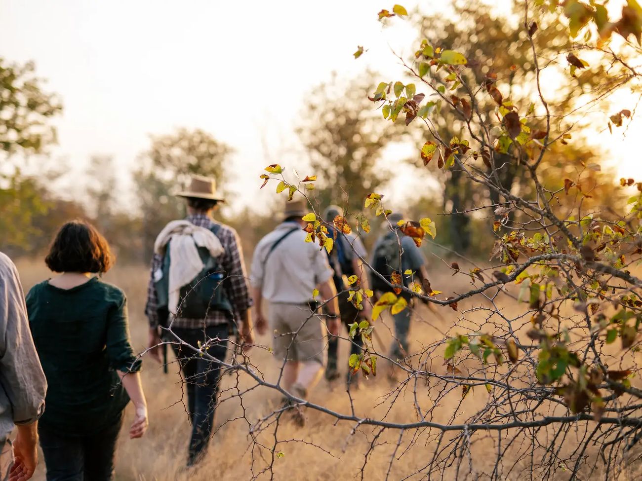 Simbavati Trails Camp