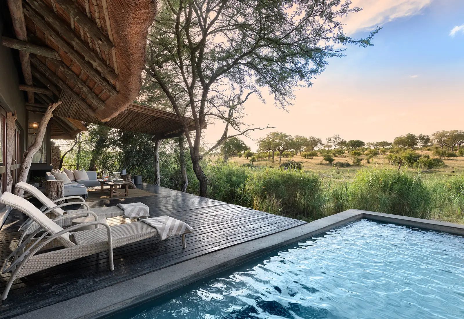 Chitwa Chitwa suite deck with loungers and a plunge pool looking over reeds towards the bush