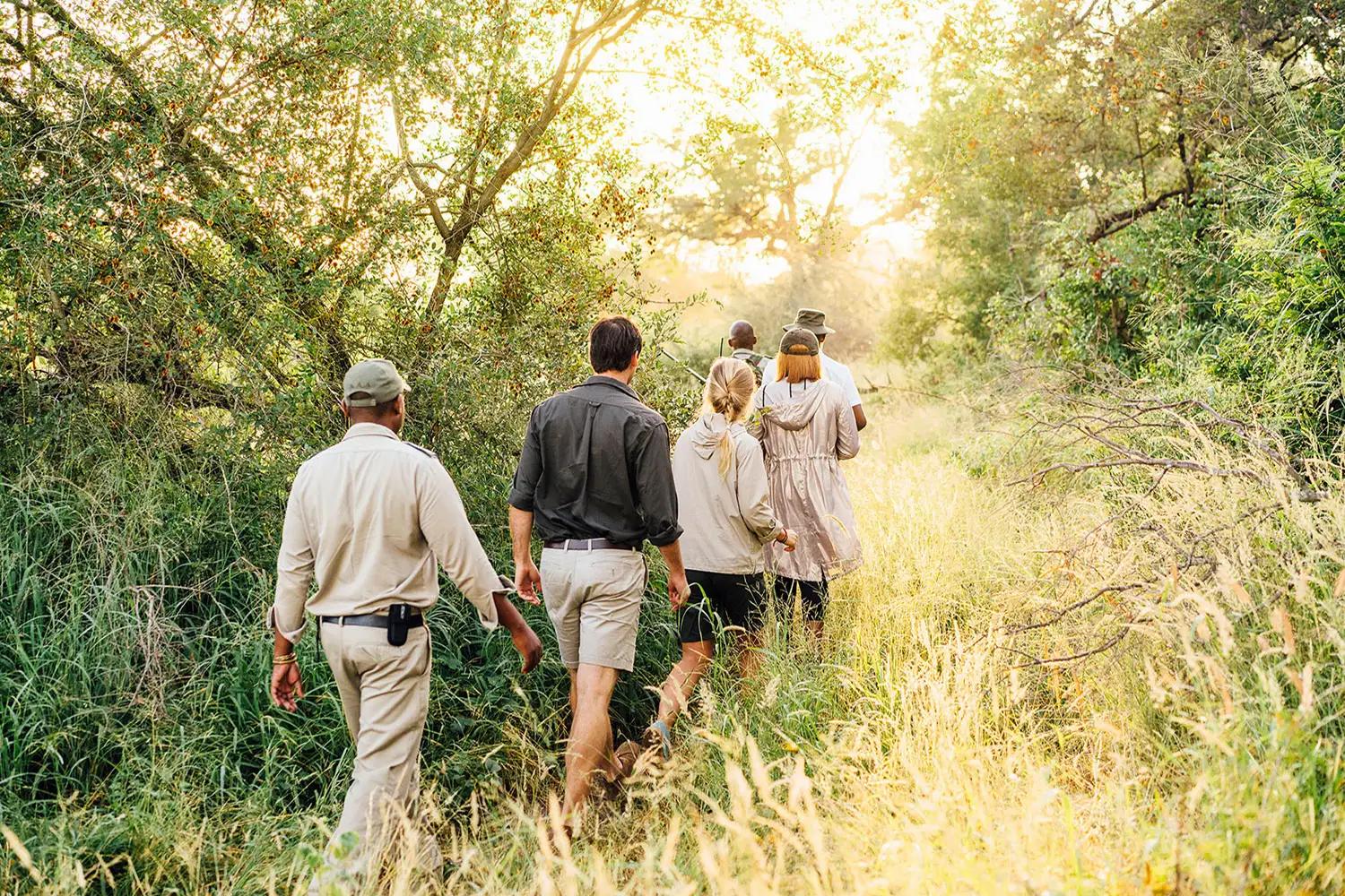 Tanda Tula Safari Camp
