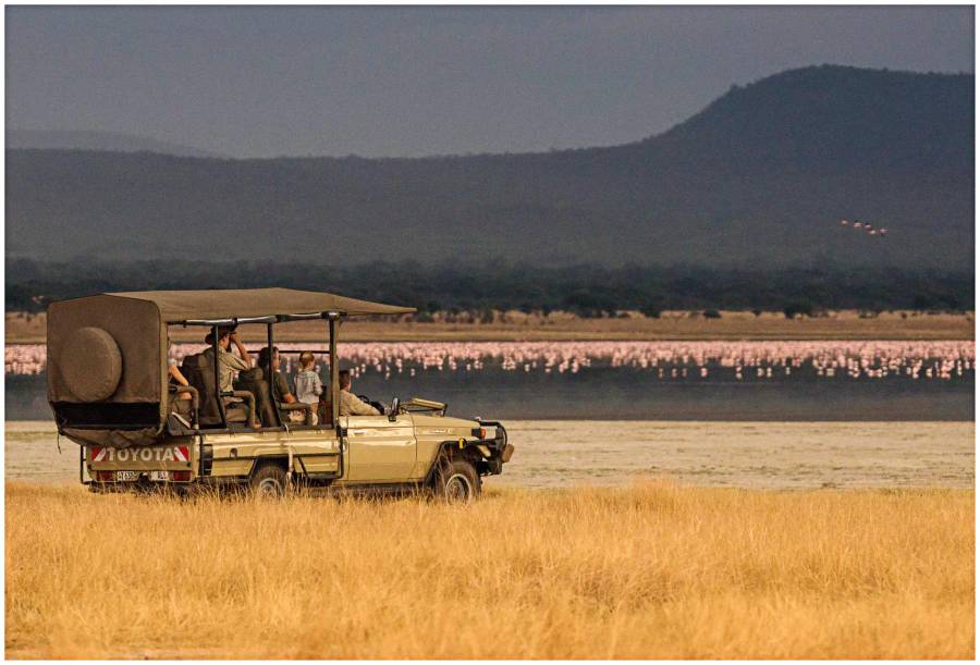 5-Day Ultra-Lux Fly-In Lake Manyara Safari