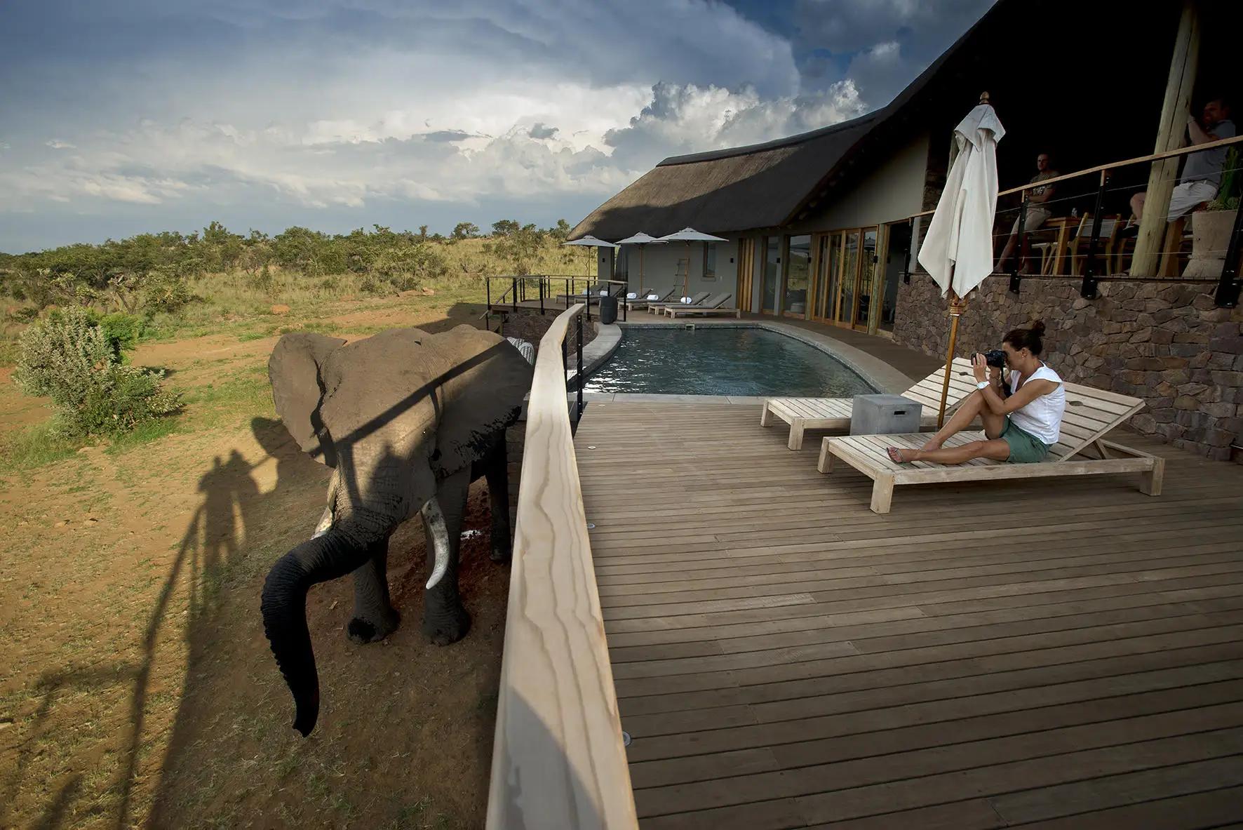 4-Day Malaria-free Big 5 Mhondoro Safari