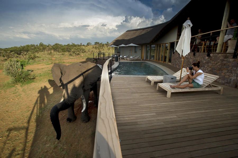 4-Day Malaria-free Big 5 Mhondoro Safari