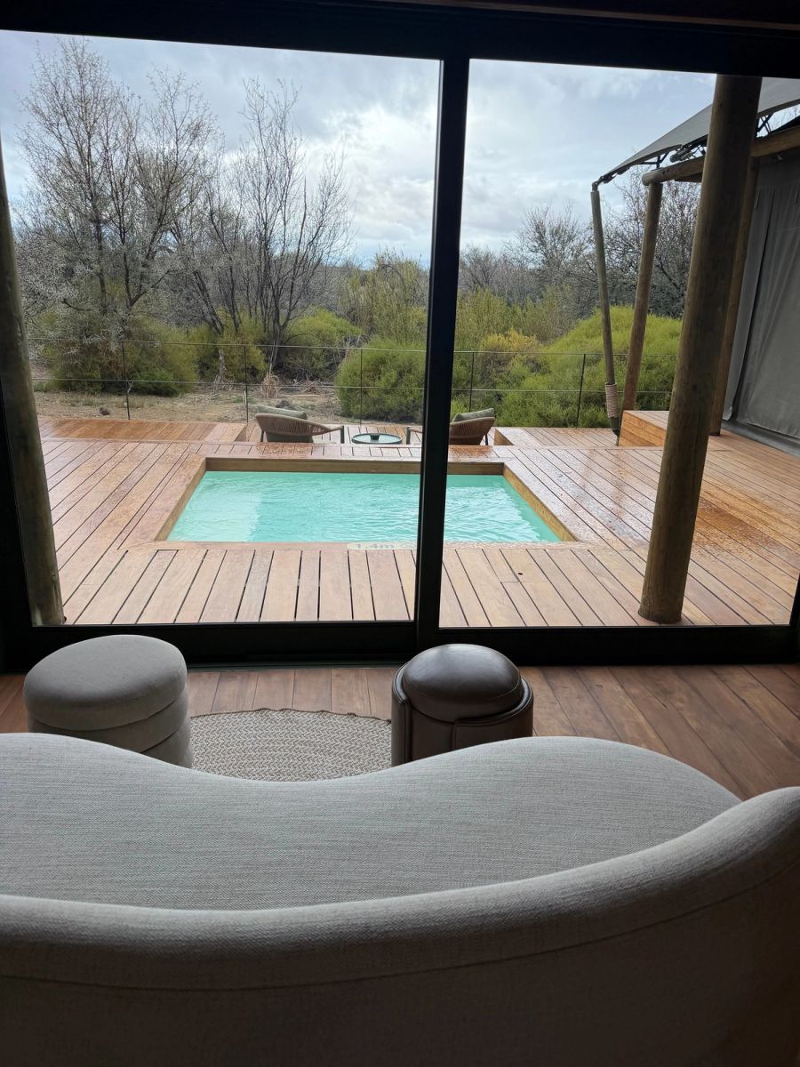 View from the suite lounge through sliding glass doors to a private plunge pool on a timber deck surrounded by Karoo bush