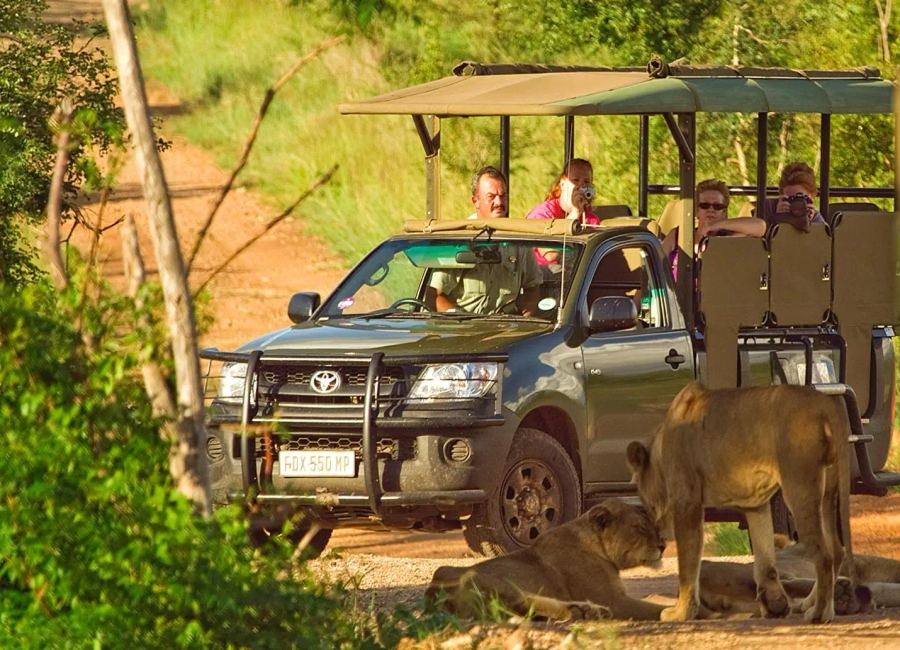 9 Day Bushveld And Beach Escape 