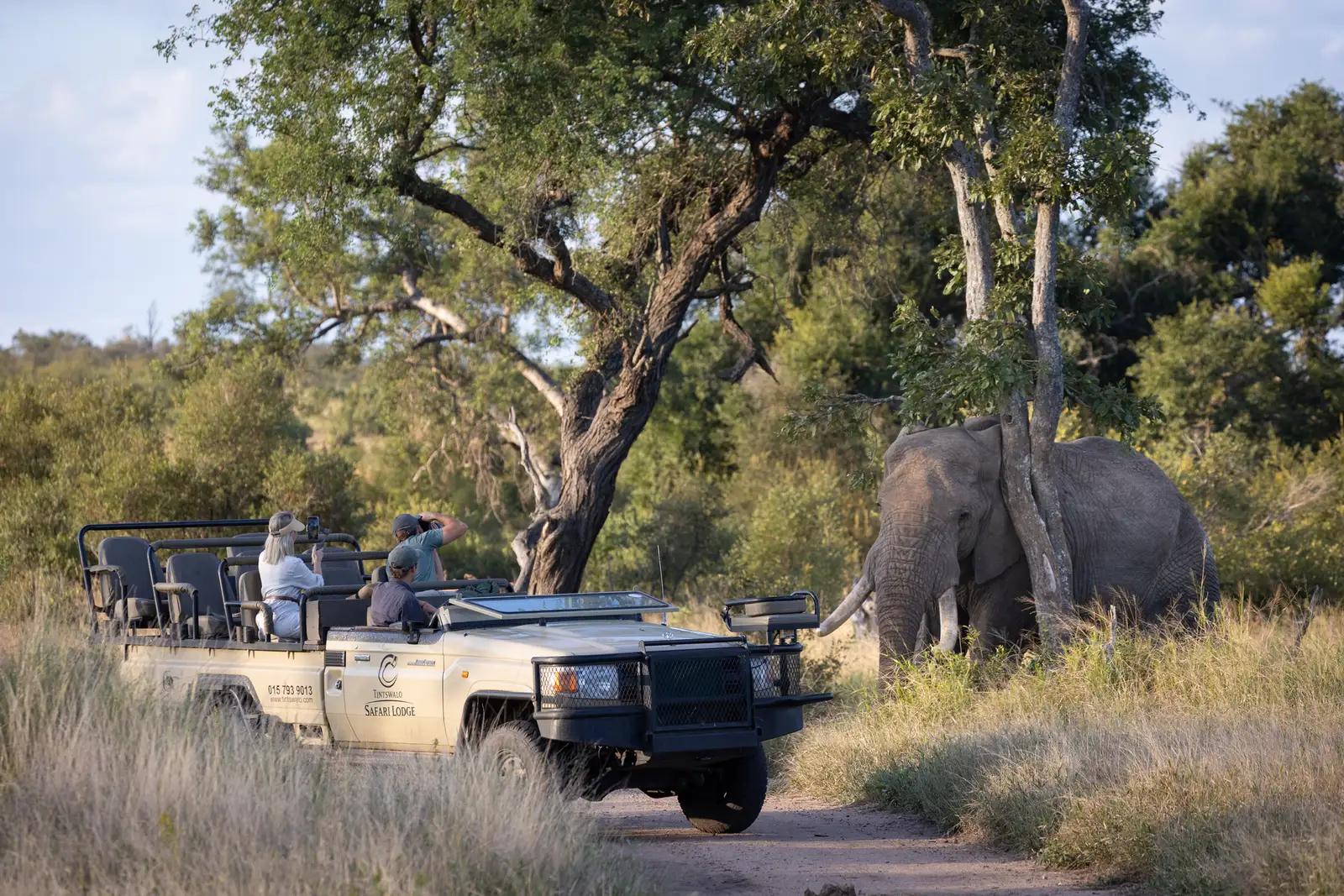 Tintswalo Safari Lodge