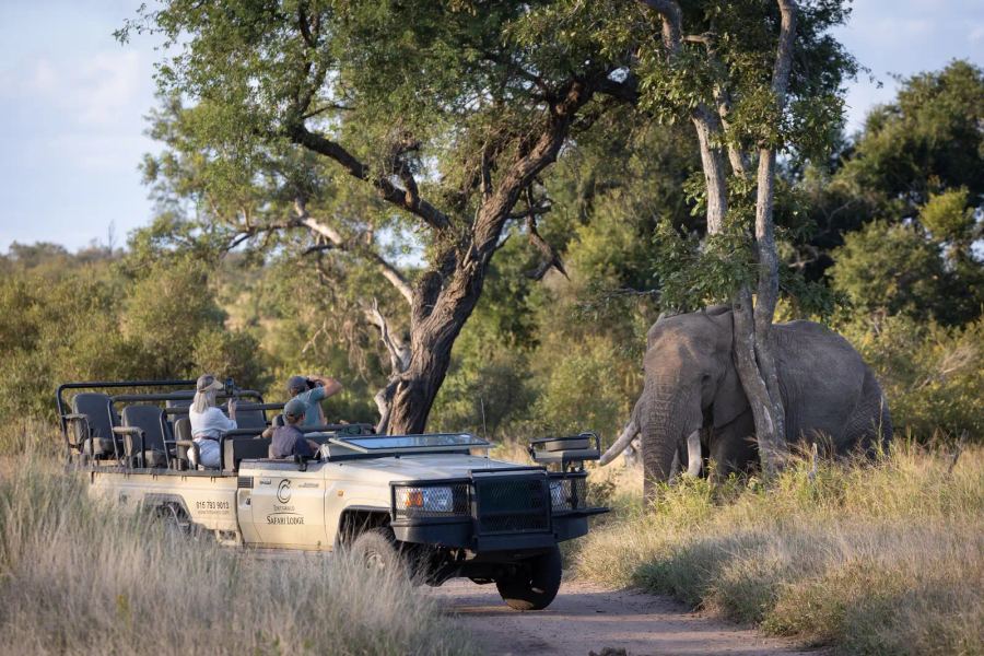 Tintswalo Safari Lodge