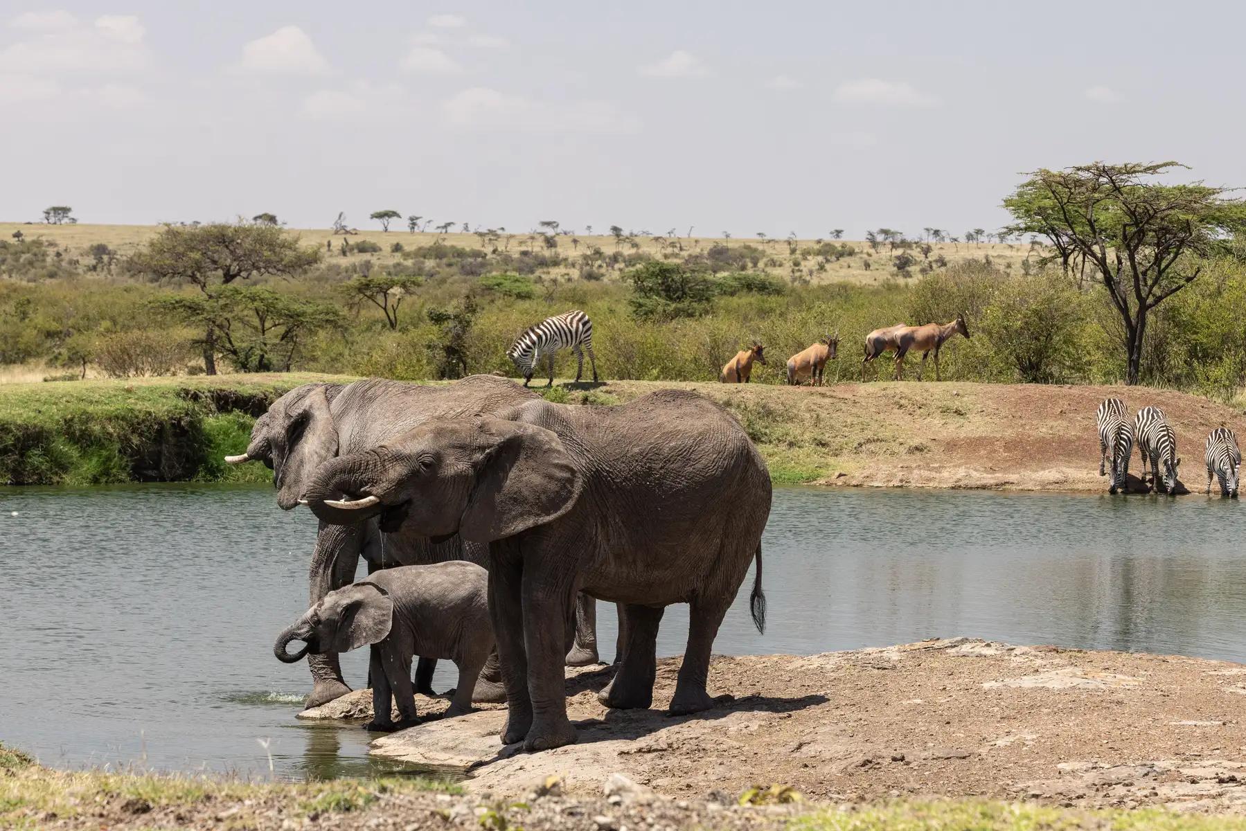 Mahali Mzuri