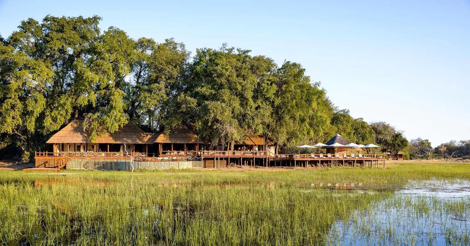 Sanctuary Chief's Camp