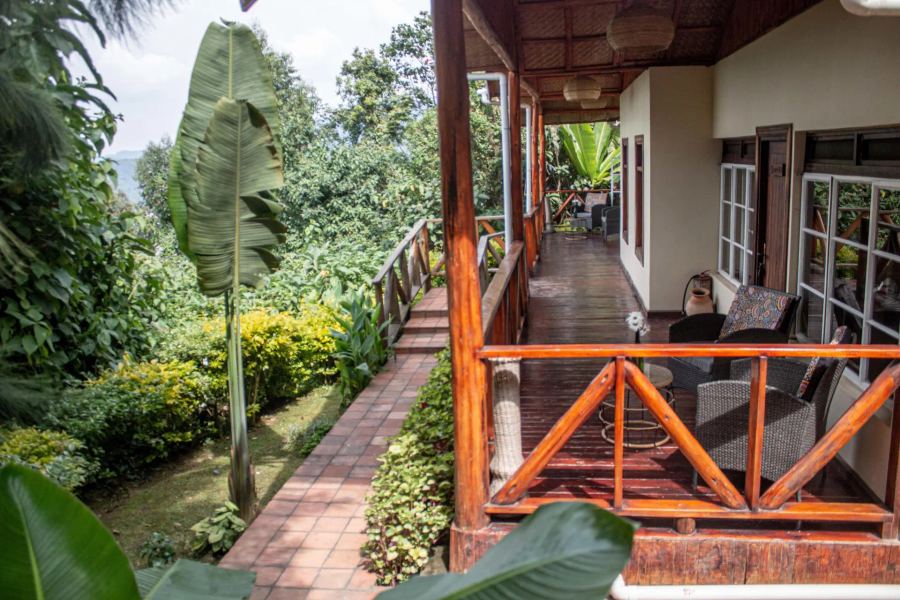 3-Day All Inclusive Fly-in Gorilla Safari