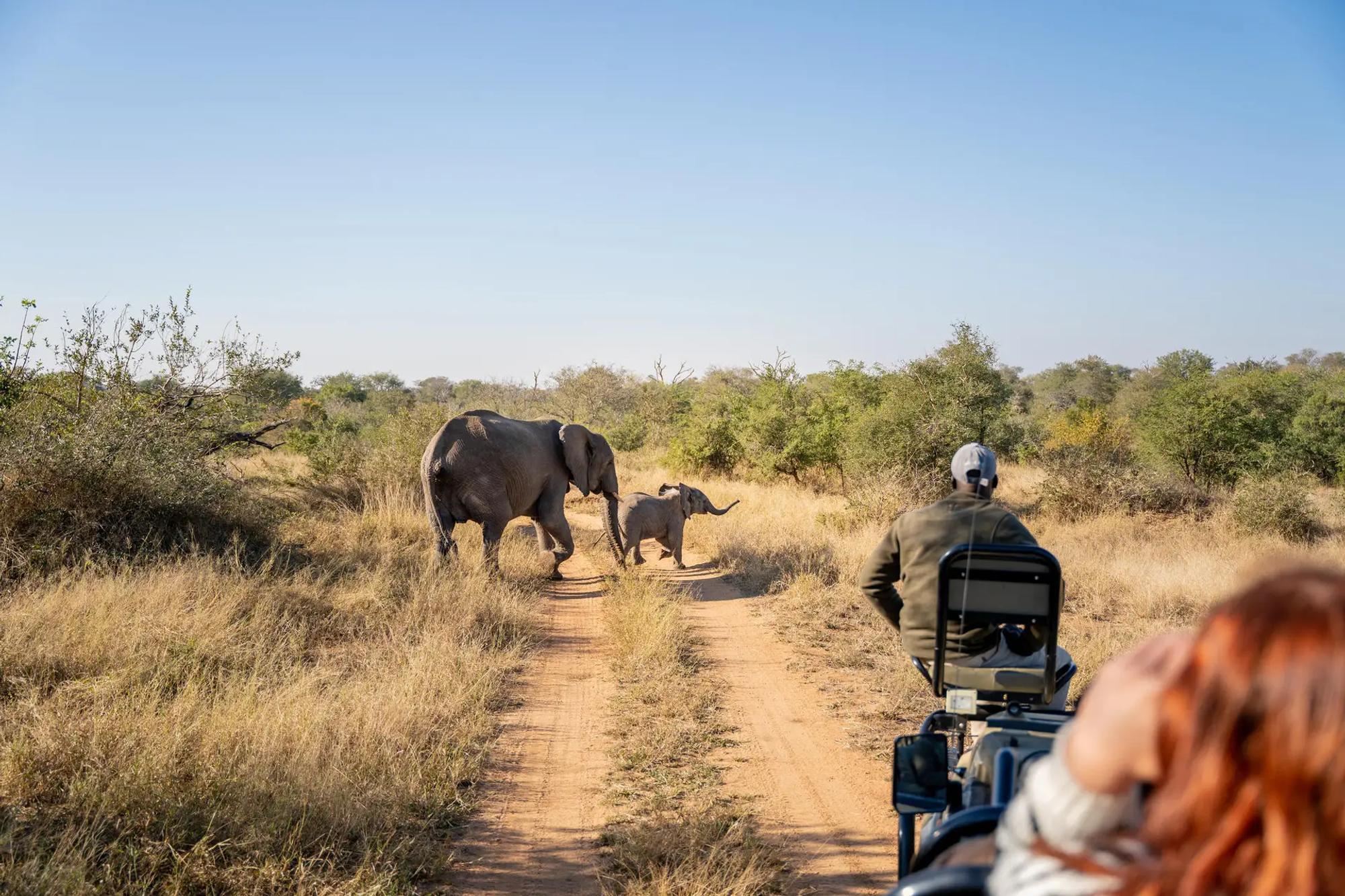 6-Day Bush & Beach Safari