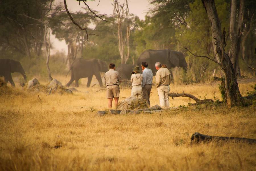 The Hide Hwange