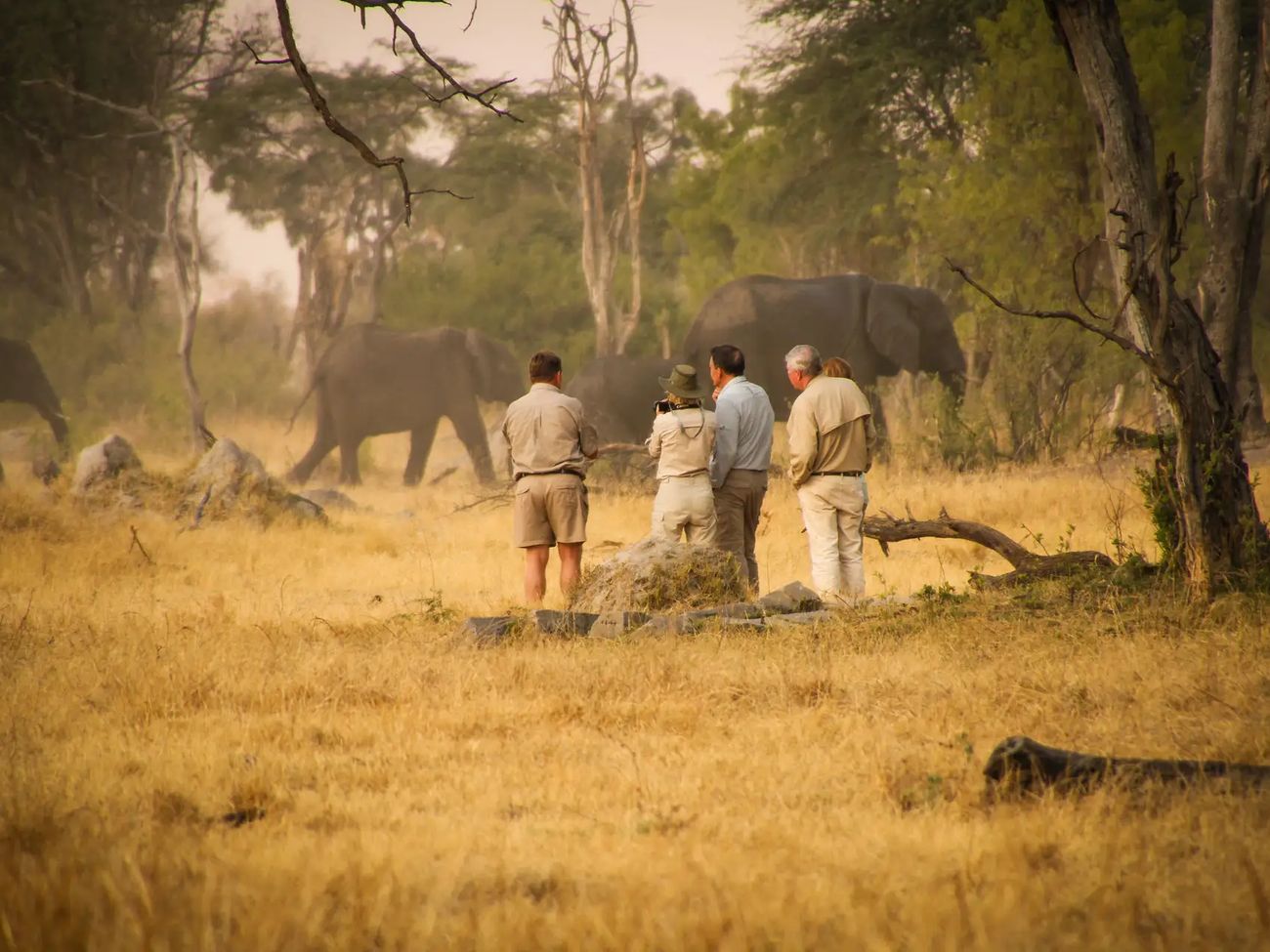 The Hide Hwange