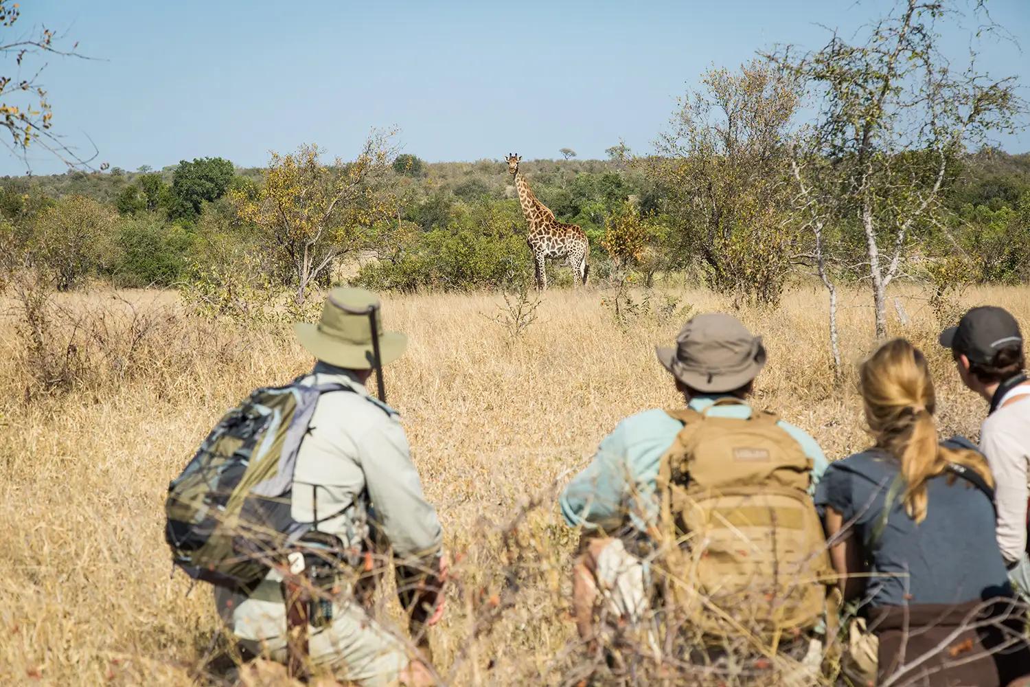 Tanda Tula Safari Camp