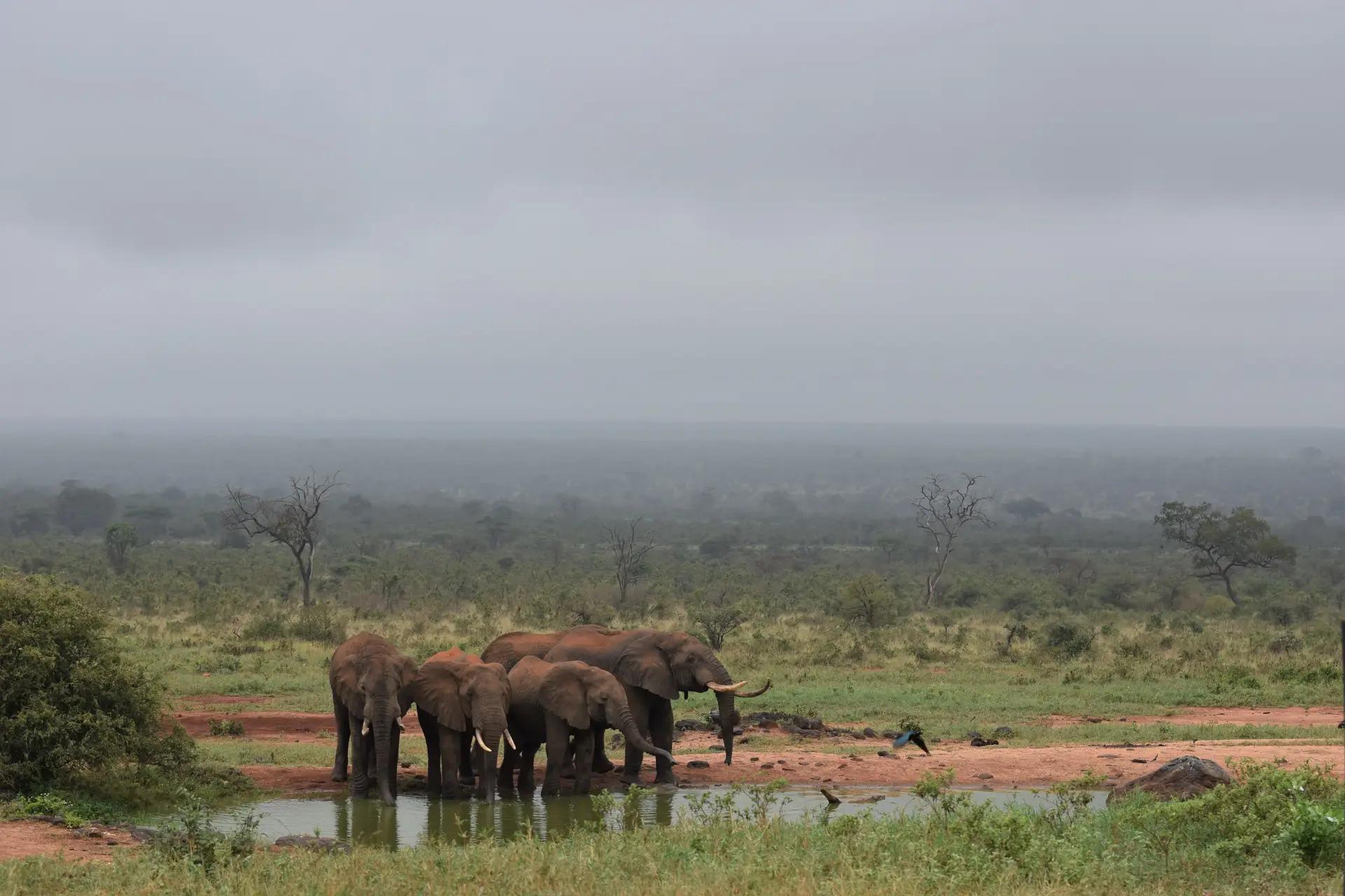 7 Day Classic Kenyan Safari