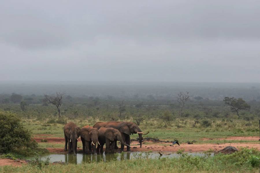7 Day Classic Kenyan Safari