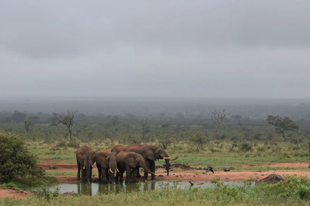 7 Day Classic Kenyan Safari