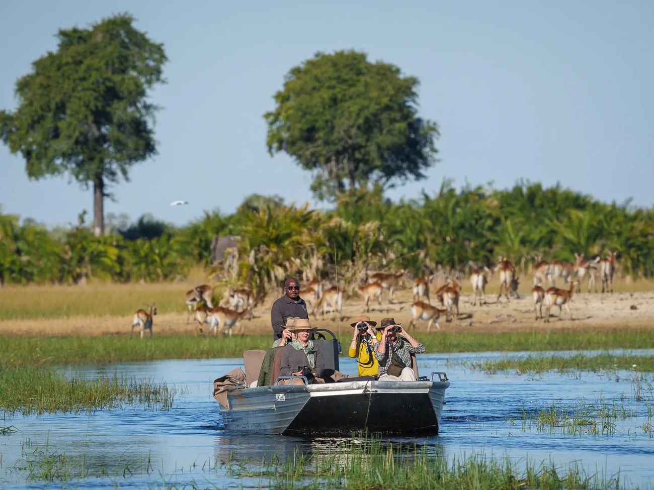 Tubu Tree Camp