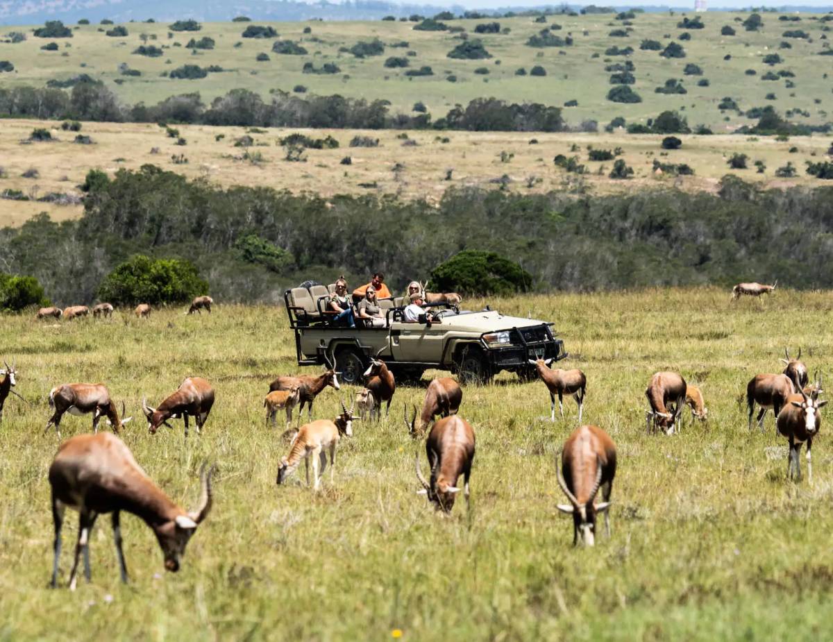 Lalibela Wildlife Reserve