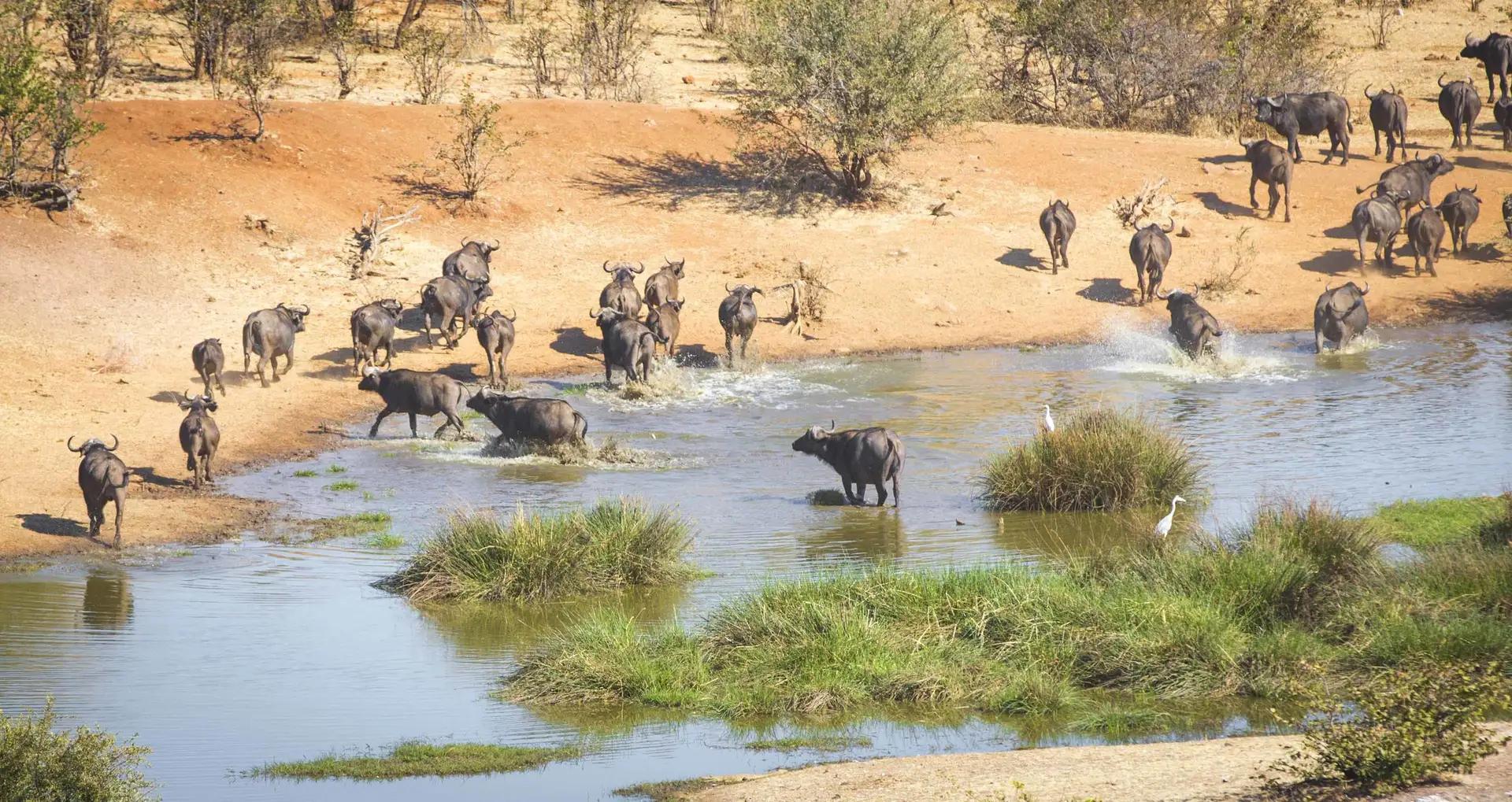 Victoria Falls Safari Suites