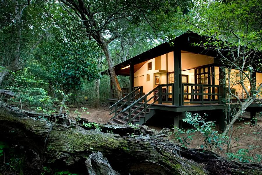 AndBeyond Phinda Forest Lodge