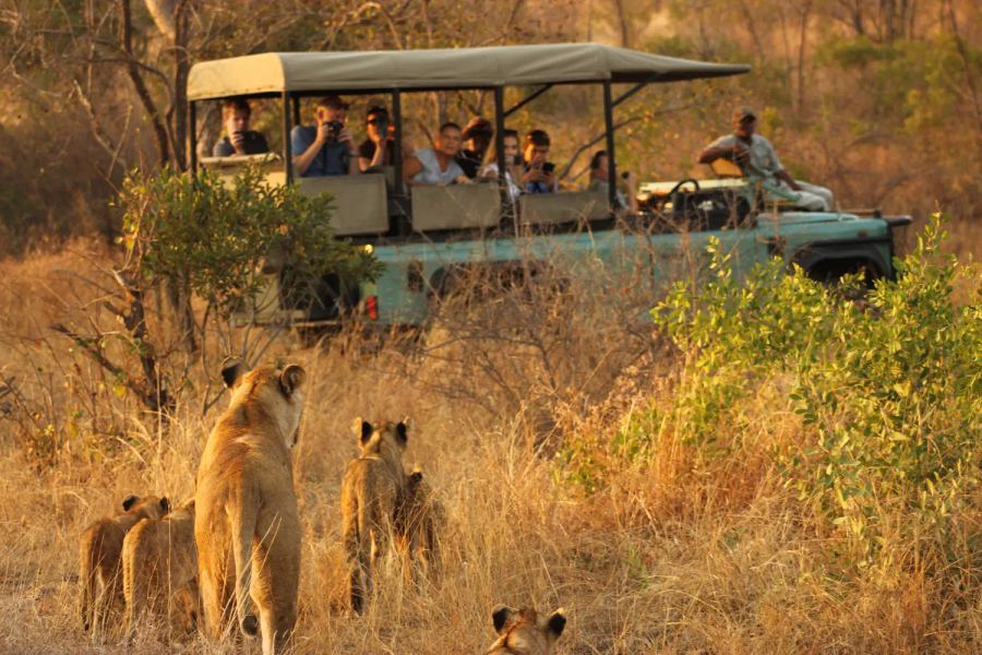 3 Day Kruger Park Lukimbi Fly-in Safari